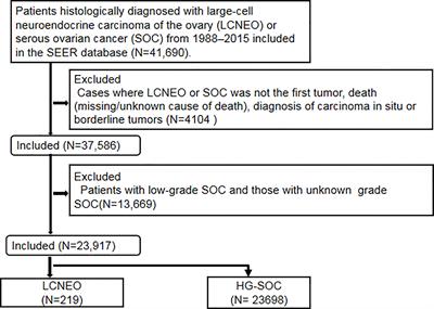 Differences in Characteristics and Outcomes Between Large-Cell Neuroendocrine Carcinoma of the Ovary and High-Grade Serous Ovarian Cancer: A Retrospective Observational Cohort Study